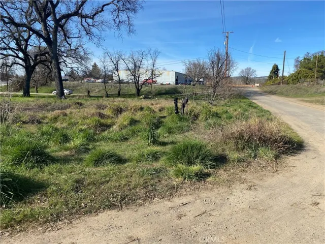 a view of a yard with a tree