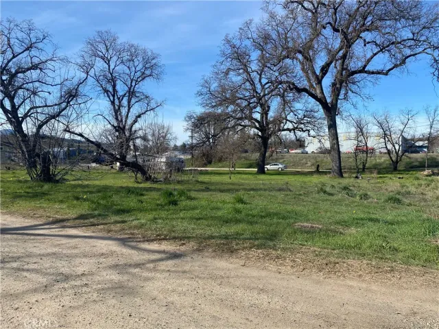 a view of a park with large trees