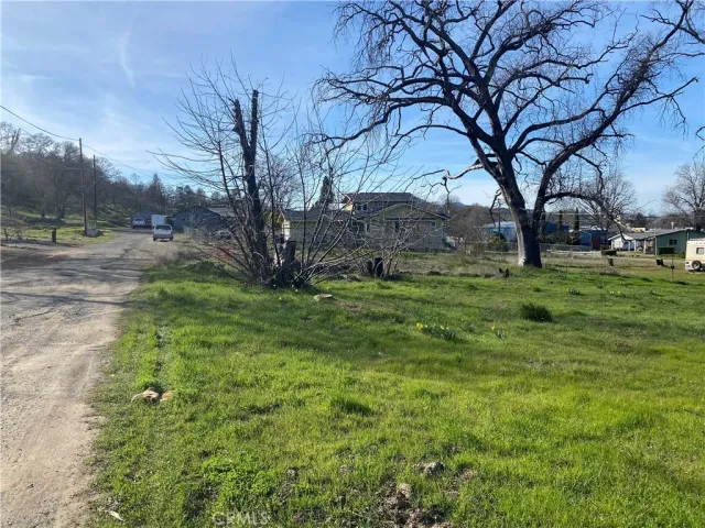 a backyard of a house with lots of green space and garden