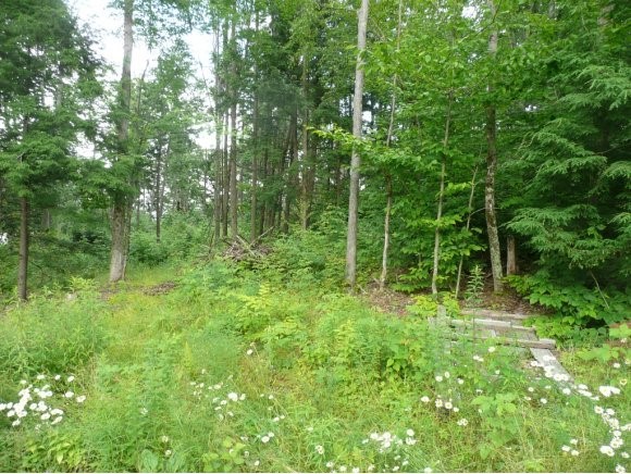 1083 Old Bow Road Weathersfield, VT 05156 - Photo 1 of 1