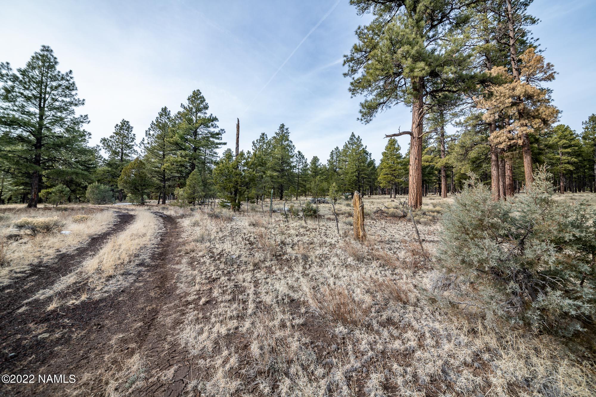 12585 North Forest Service Road Flagstaff, AZ 86001 - Photo 23 of 37 12585 Forest Service Rd 171 (1 of 31)