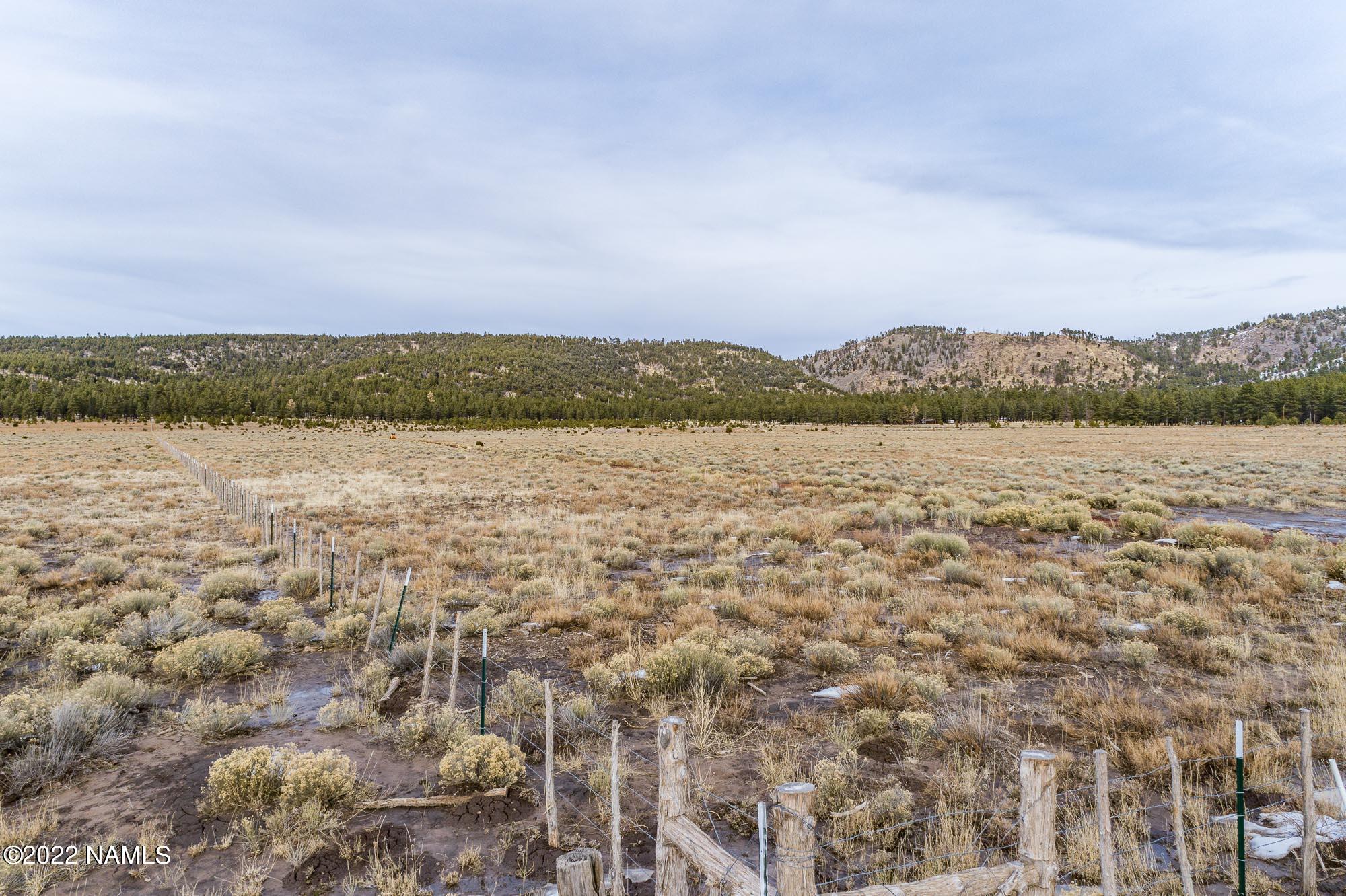 12585 North Forest Service Road Flagstaff, AZ 86001 - Photo 26 of 37 12585 Forest Service Rd 171 (31 of 31)