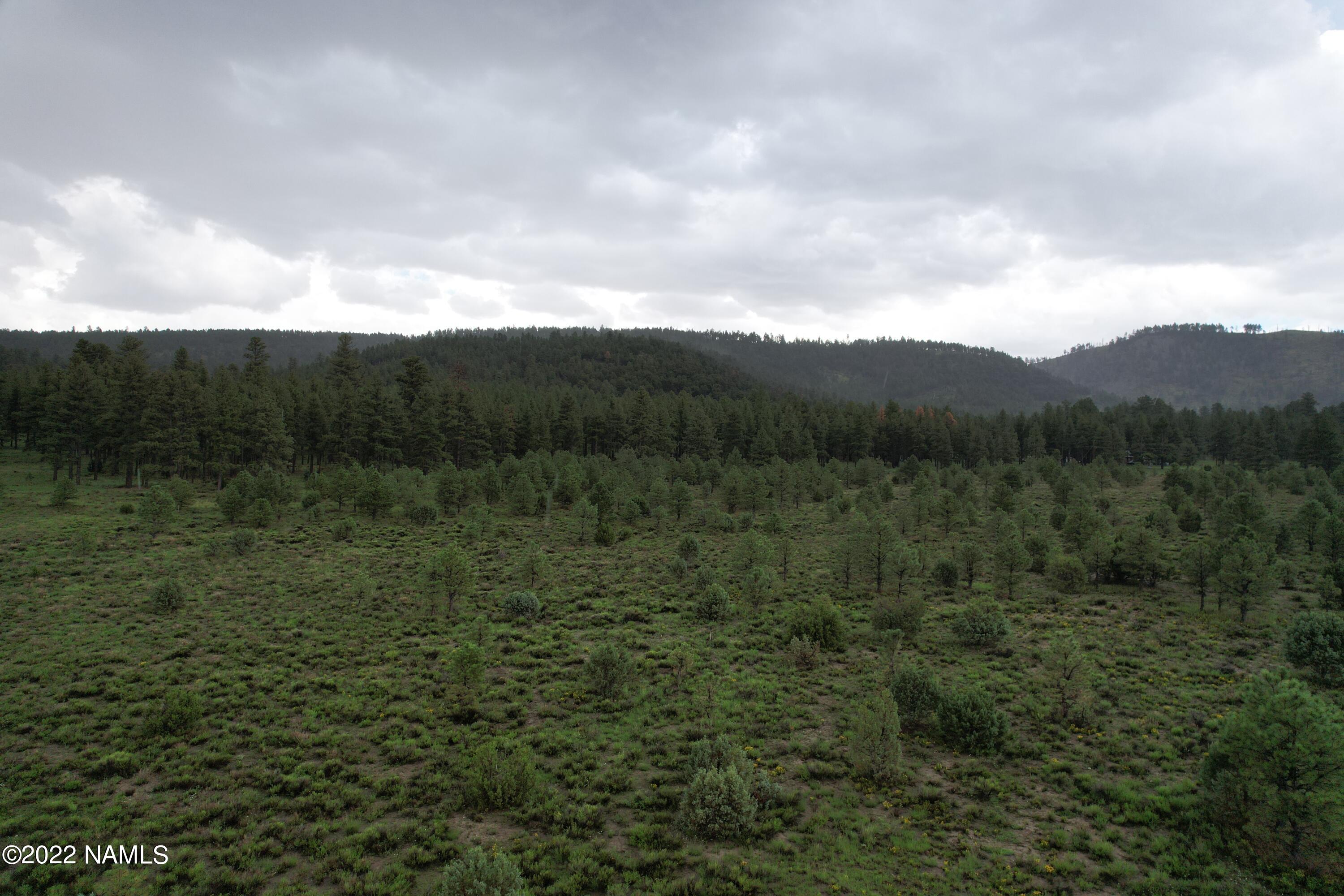 12585 North Forest Service Road Flagstaff, AZ 86001 - Photo 4 of 37 DJI_0454