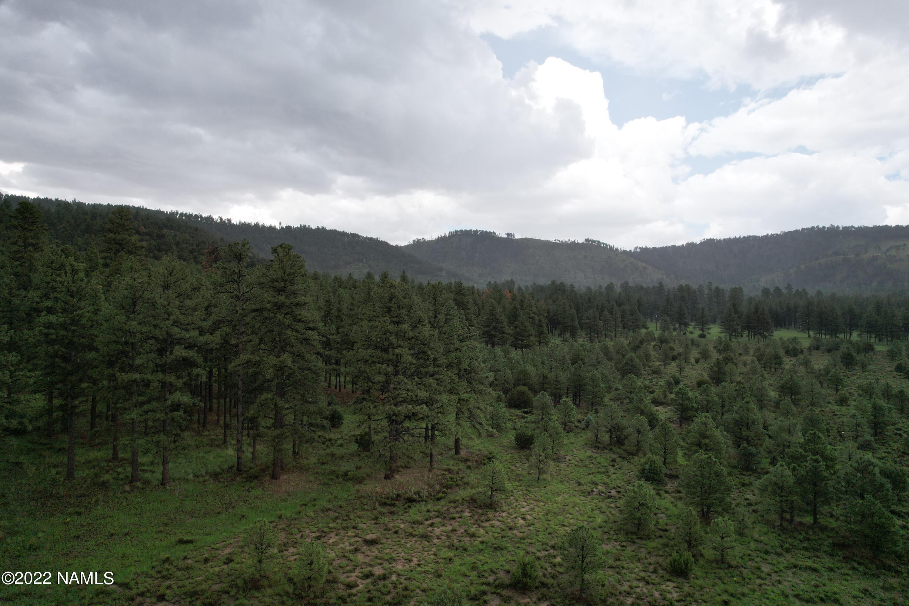 12585 North Forest Service Road Flagstaff, AZ 86001 - Photo 8 of 37 DJI_0456