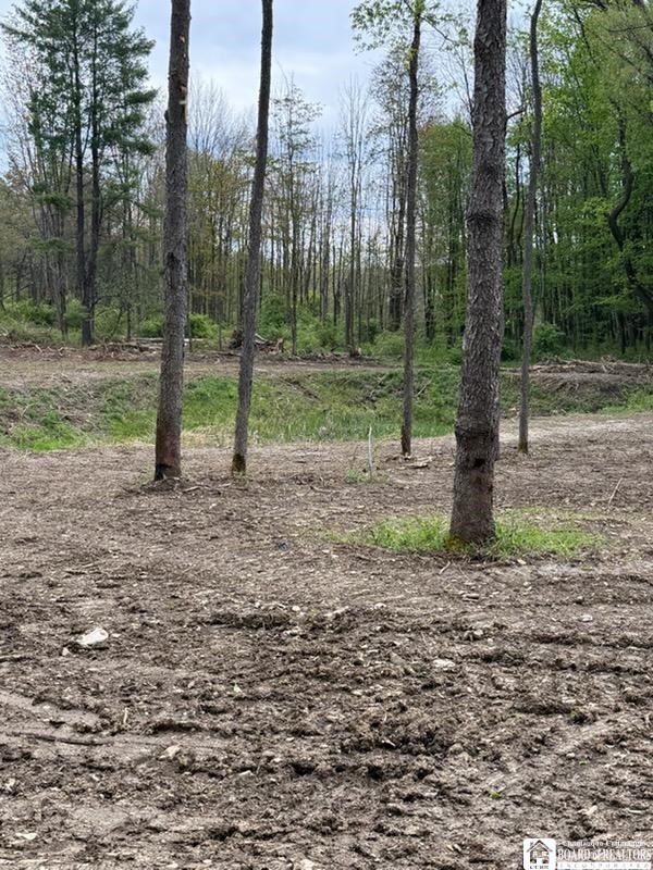 4371 Lawson Road Busti, NY 14701 - Photo 4 of 6