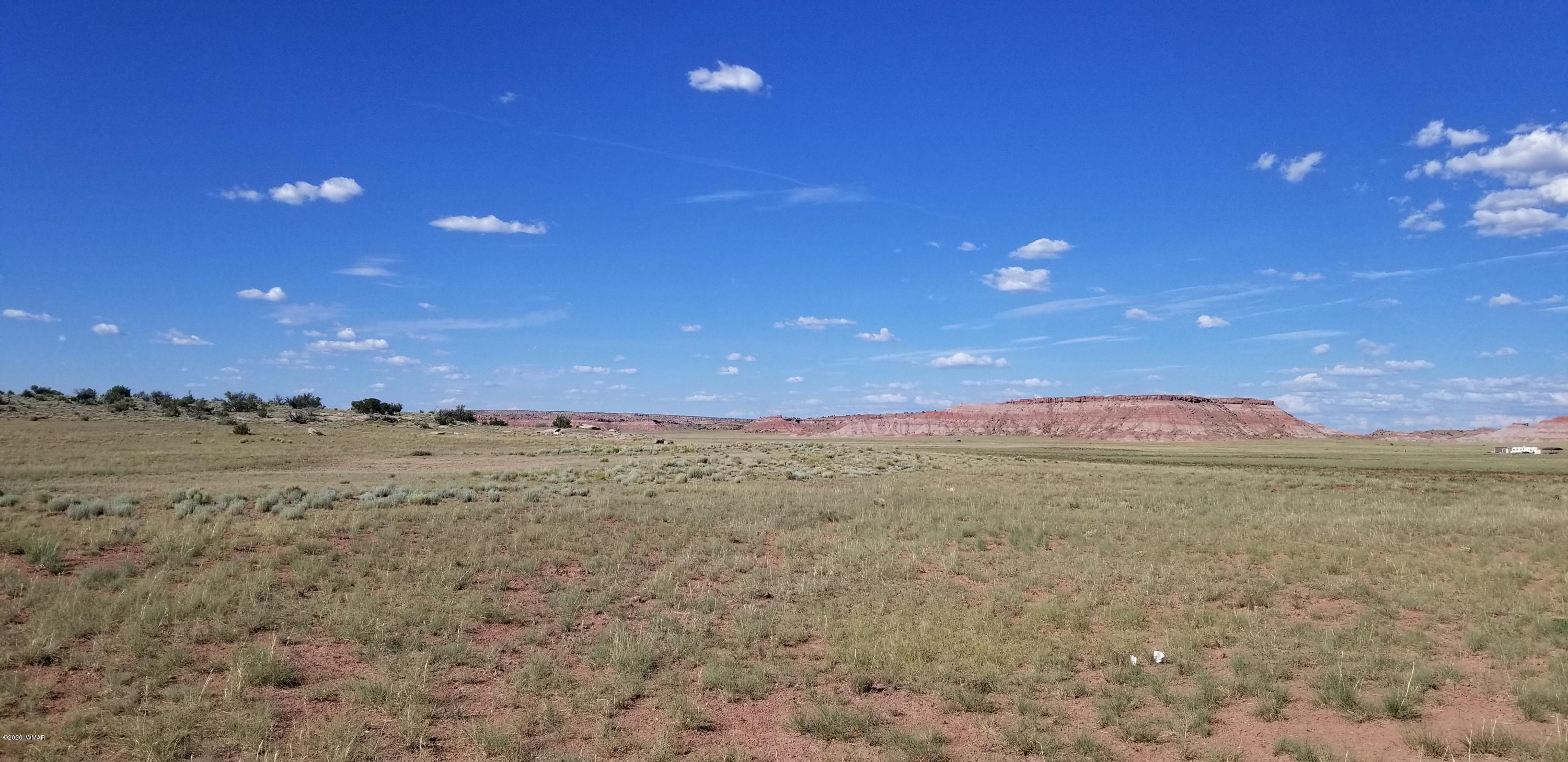 Lot 79 Bonito Valley Ranch Concho, AZ 85924 - Photo 12 of 84