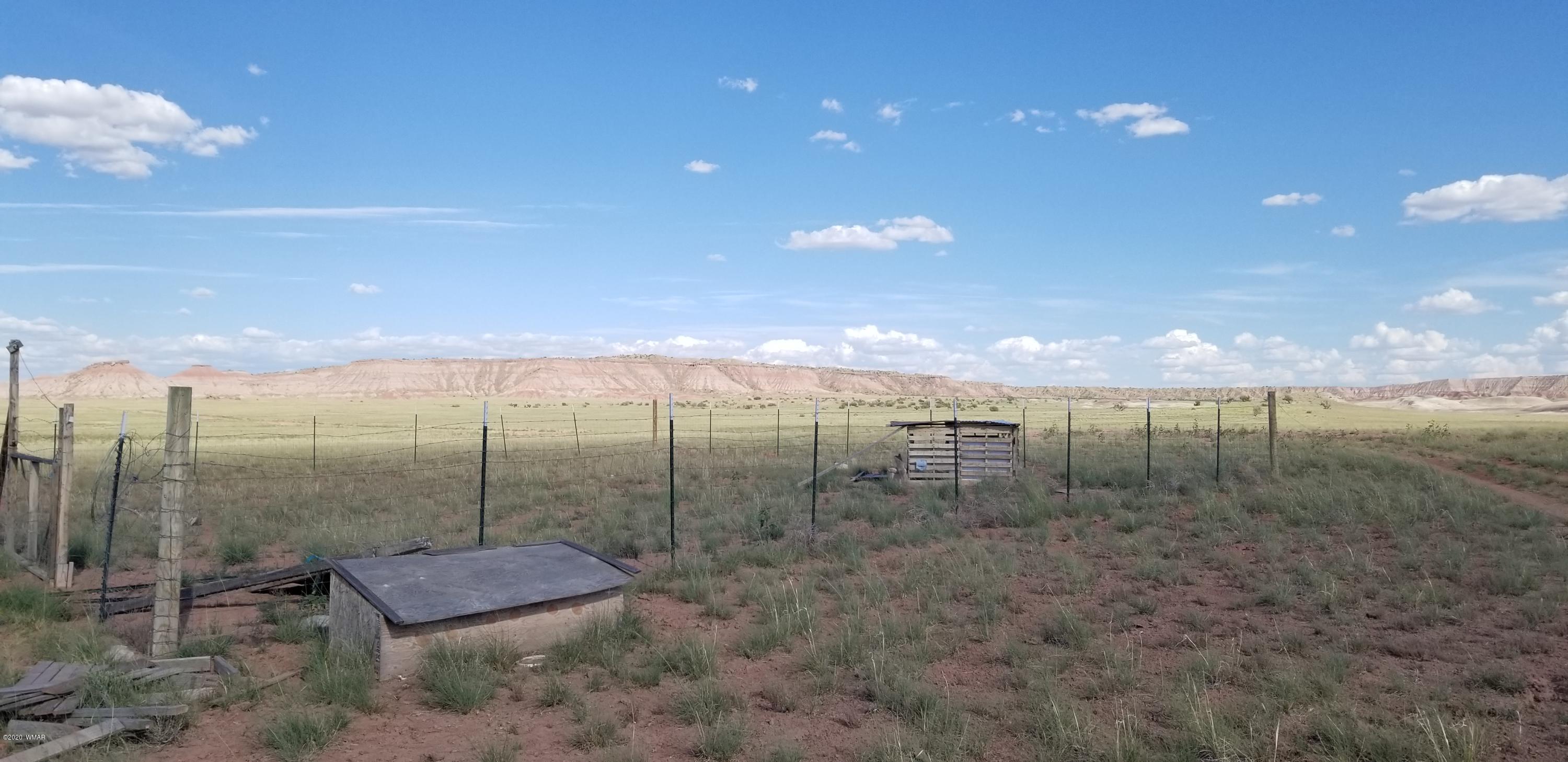 Lot 79 Bonito Valley Ranch Concho, AZ 85924 - Photo 13 of 84