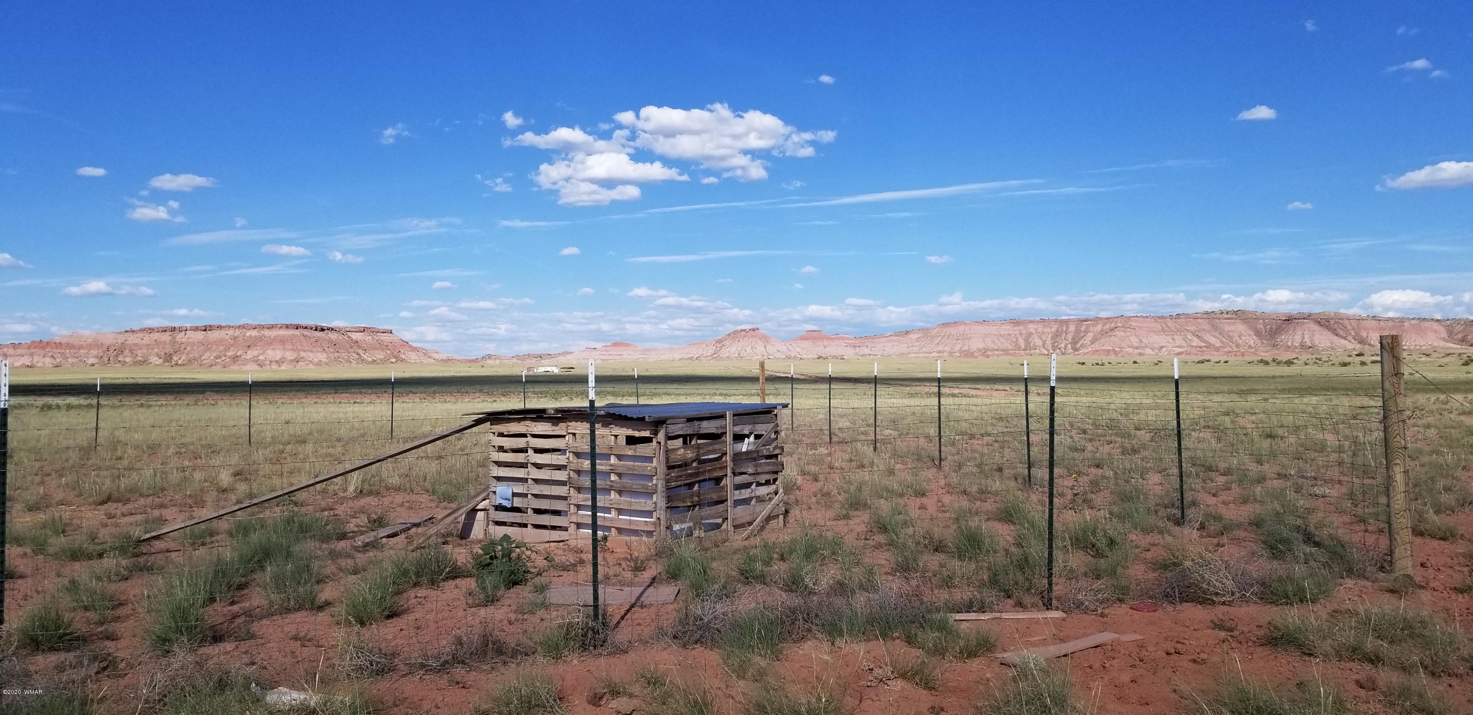 Lot 79 Bonito Valley Ranch Concho, AZ 85924 - Photo 14 of 84