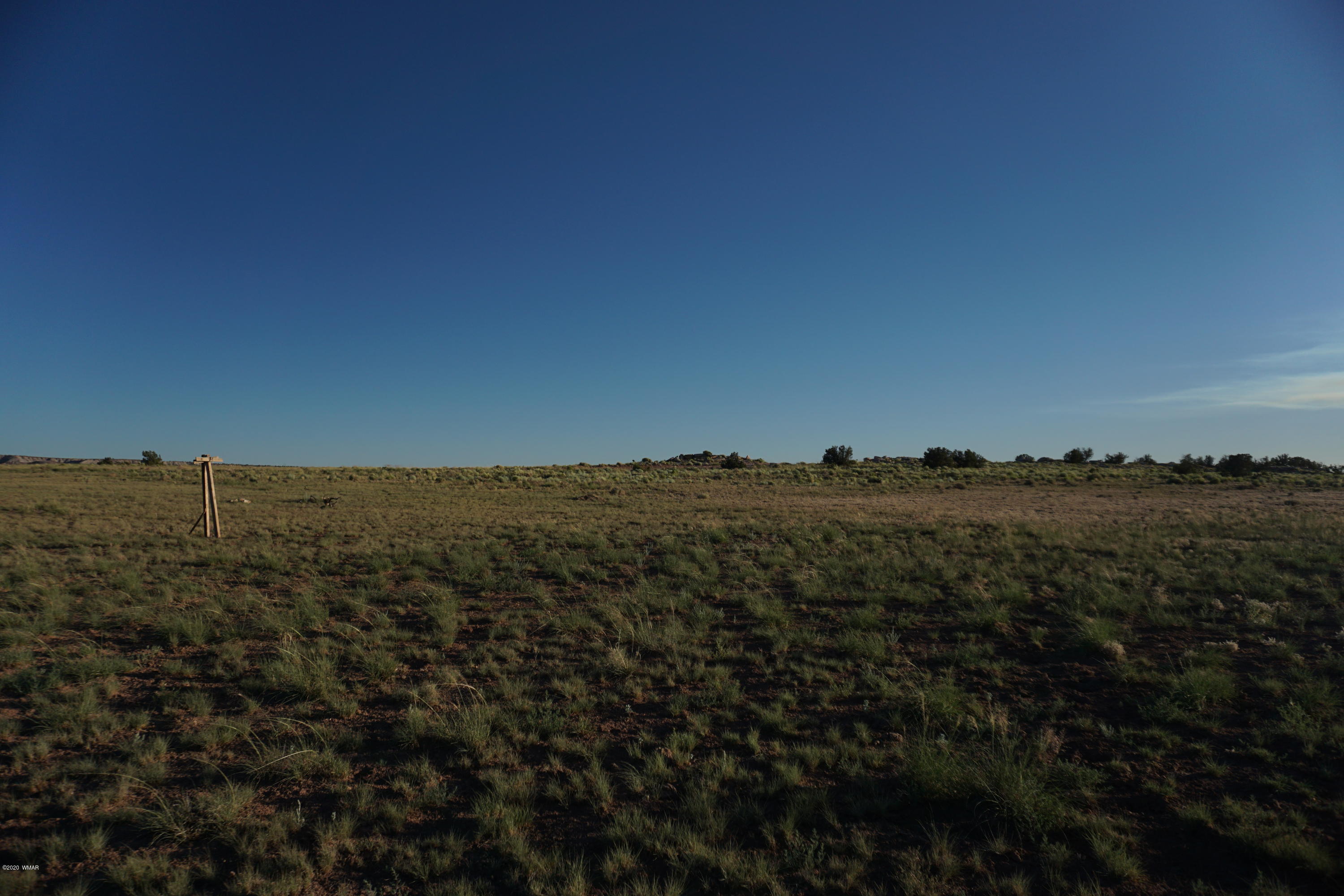 Lot 79 Bonito Valley Ranch Concho, AZ 85924 - Photo 18 of 84