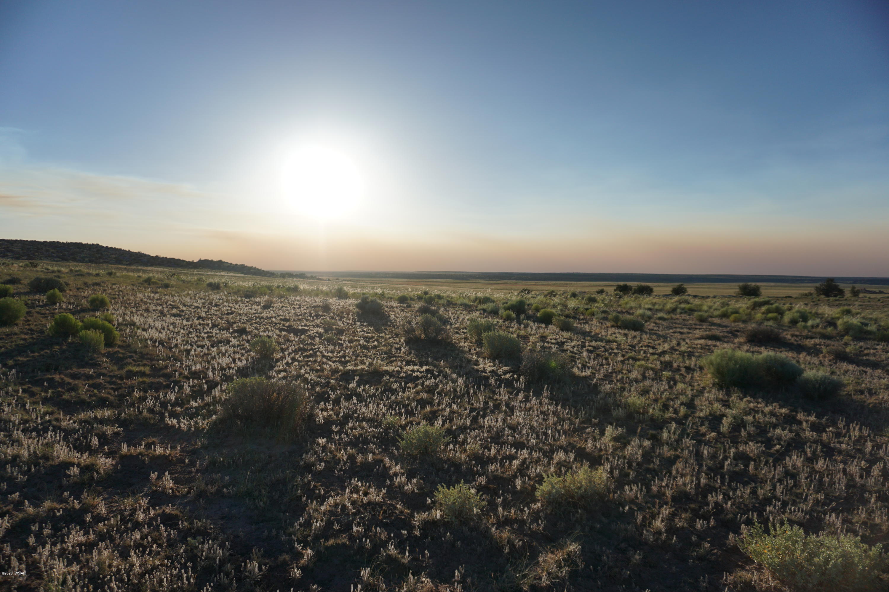 Lot 79 Bonito Valley Ranch Concho, AZ 85924 - Photo 23 of 84