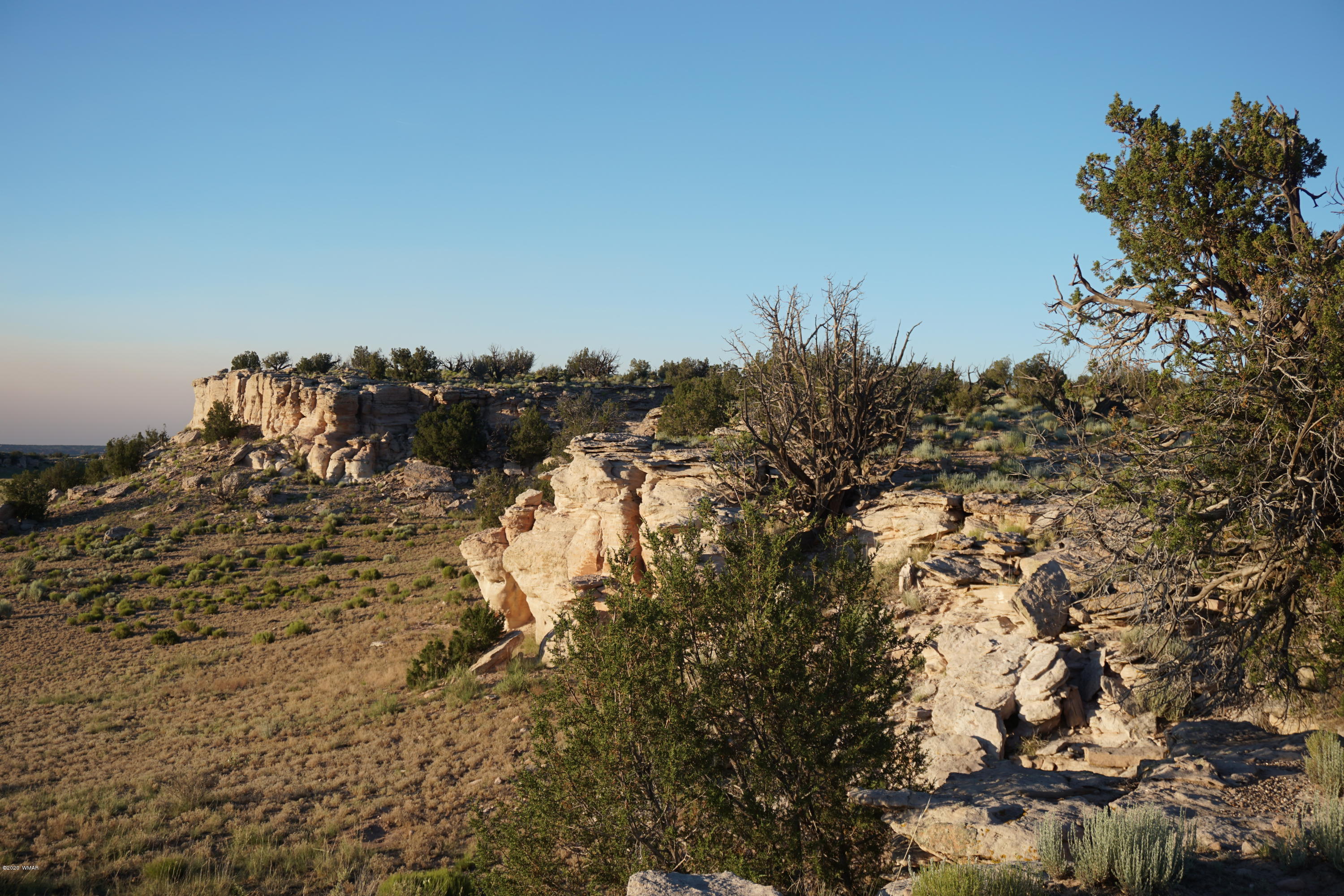 Lot 79 Bonito Valley Ranch Concho, AZ 85924 - Photo 26 of 84