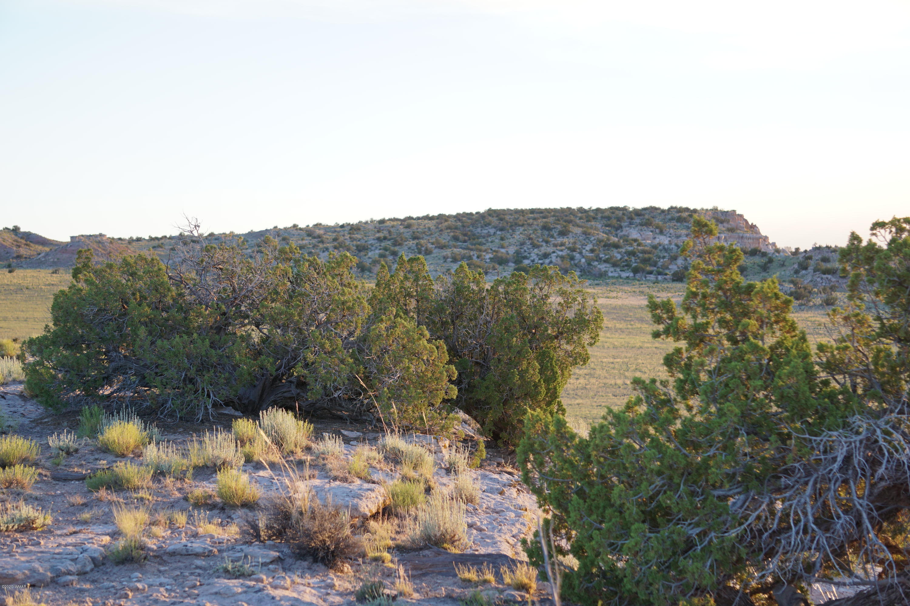 Lot 79 Bonito Valley Ranch Concho, AZ 85924 - Photo 35 of 84