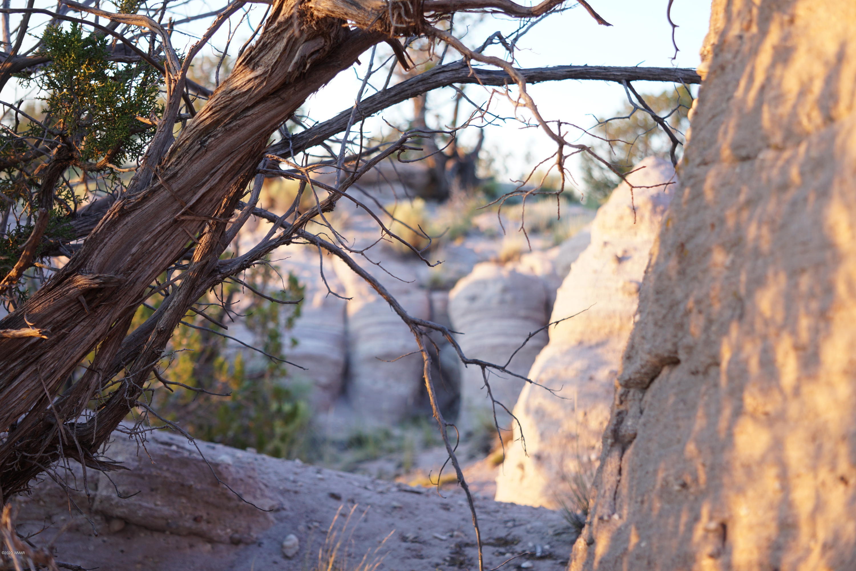 Lot 79 Bonito Valley Ranch Concho, AZ 85924 - Photo 37 of 84