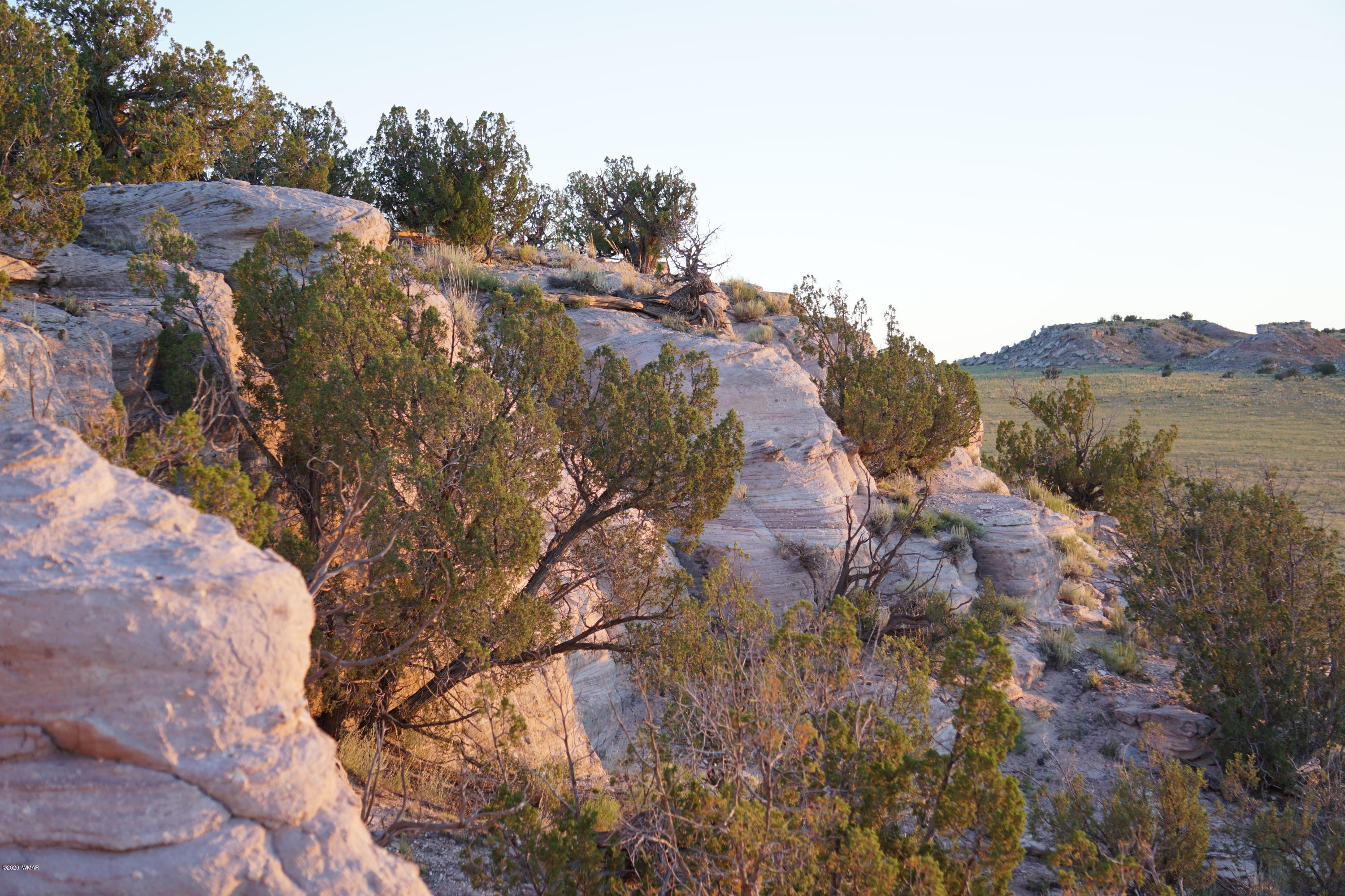 Lot 79 Bonito Valley Ranch Concho, AZ 85924 - Photo 38 of 84