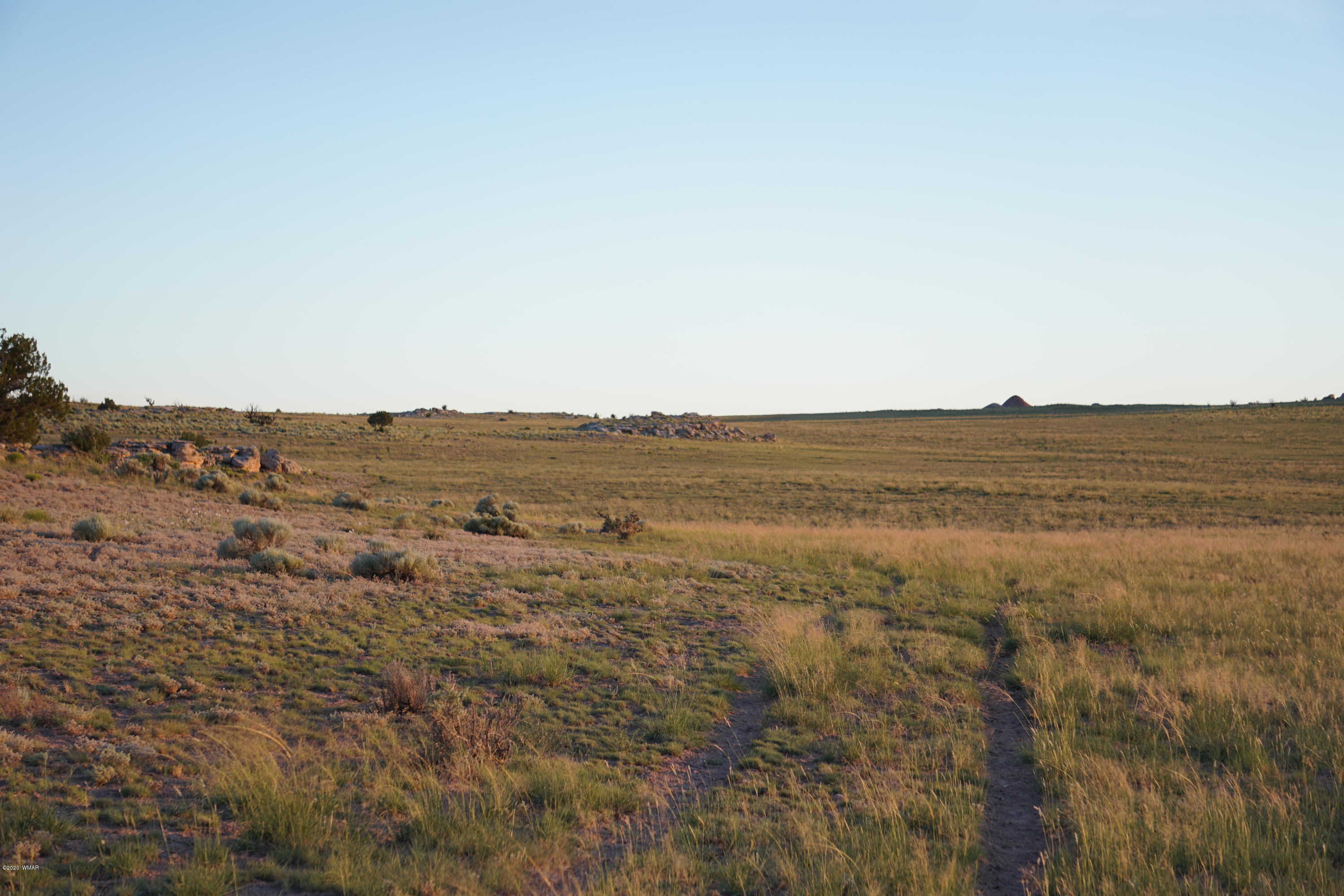 Lot 79 Bonito Valley Ranch Concho, AZ 85924 - Photo 47 of 84