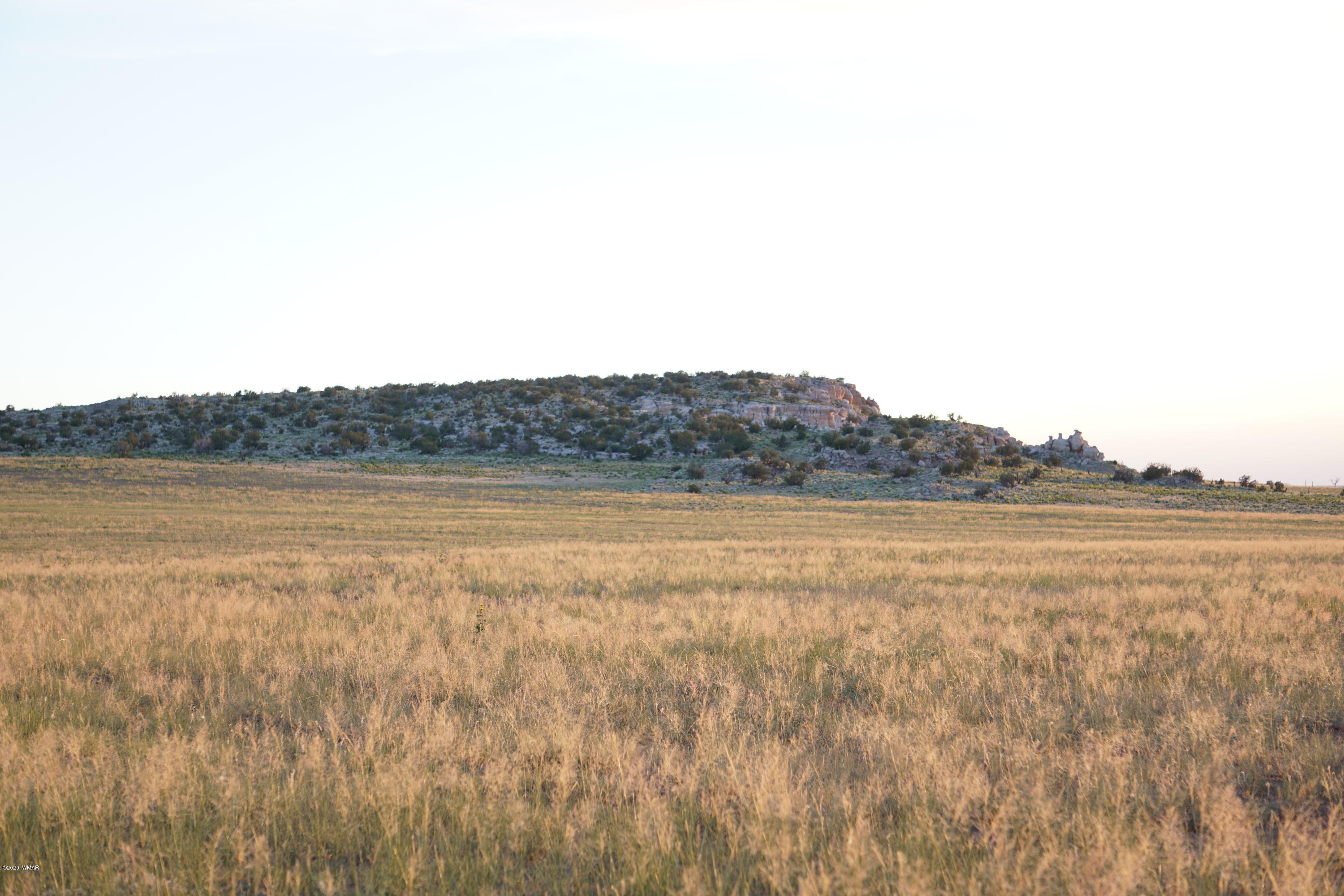 Lot 79 Bonito Valley Ranch Concho, AZ 85924 - Photo 49 of 84