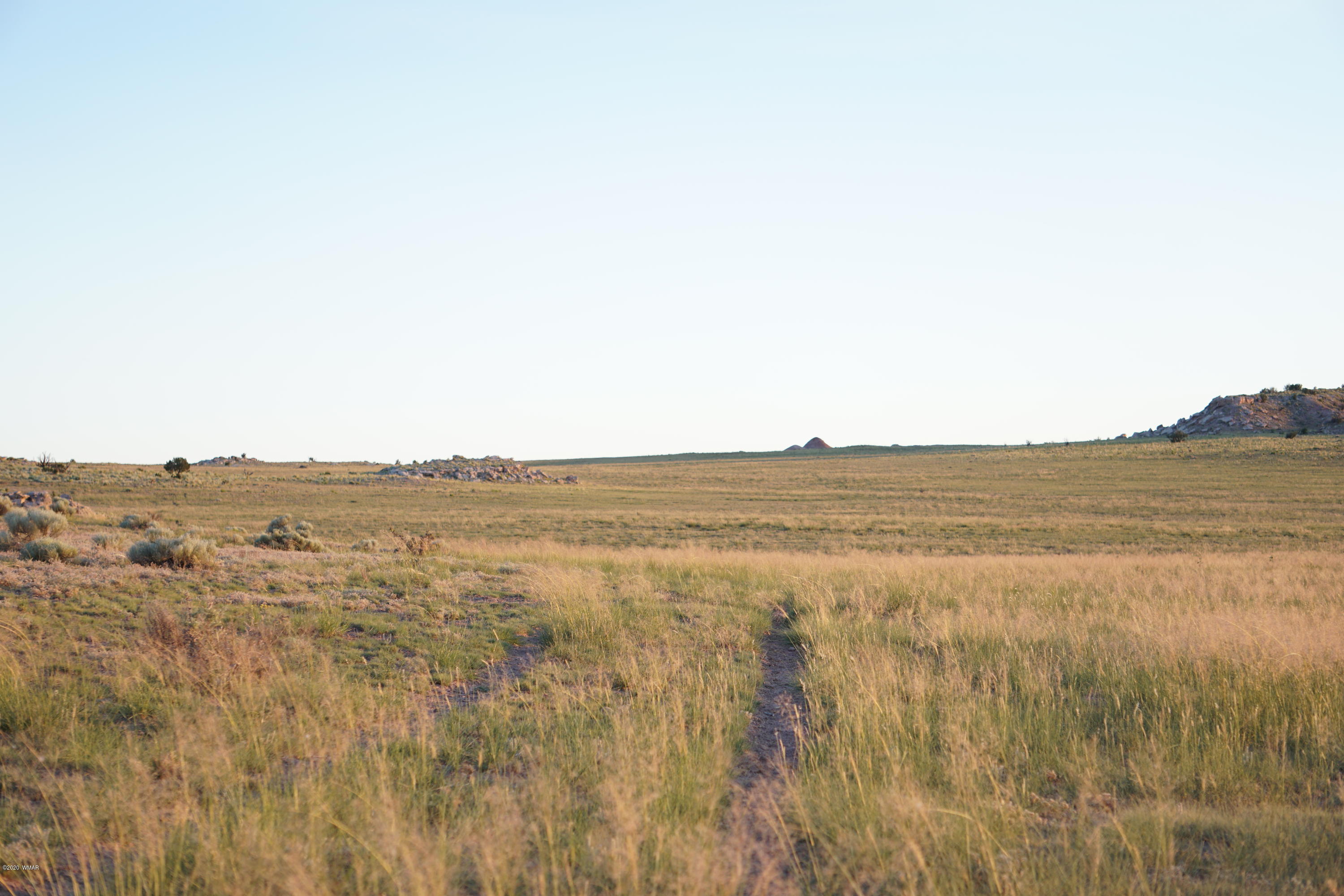 Lot 79 Bonito Valley Ranch Concho, AZ 85924 - Photo 50 of 84
