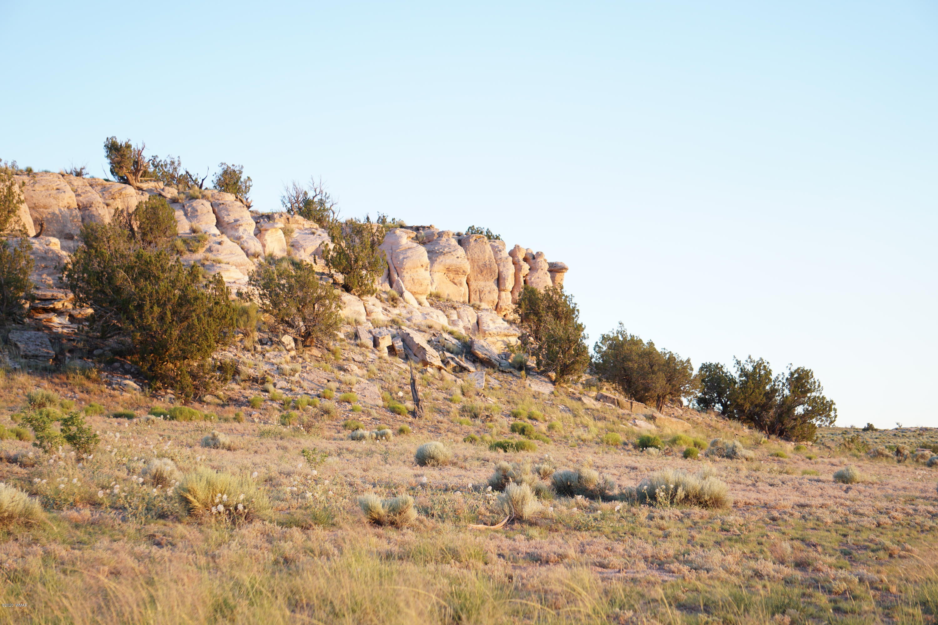 Lot 79 Bonito Valley Ranch Concho, AZ 85924 - Photo 51 of 84