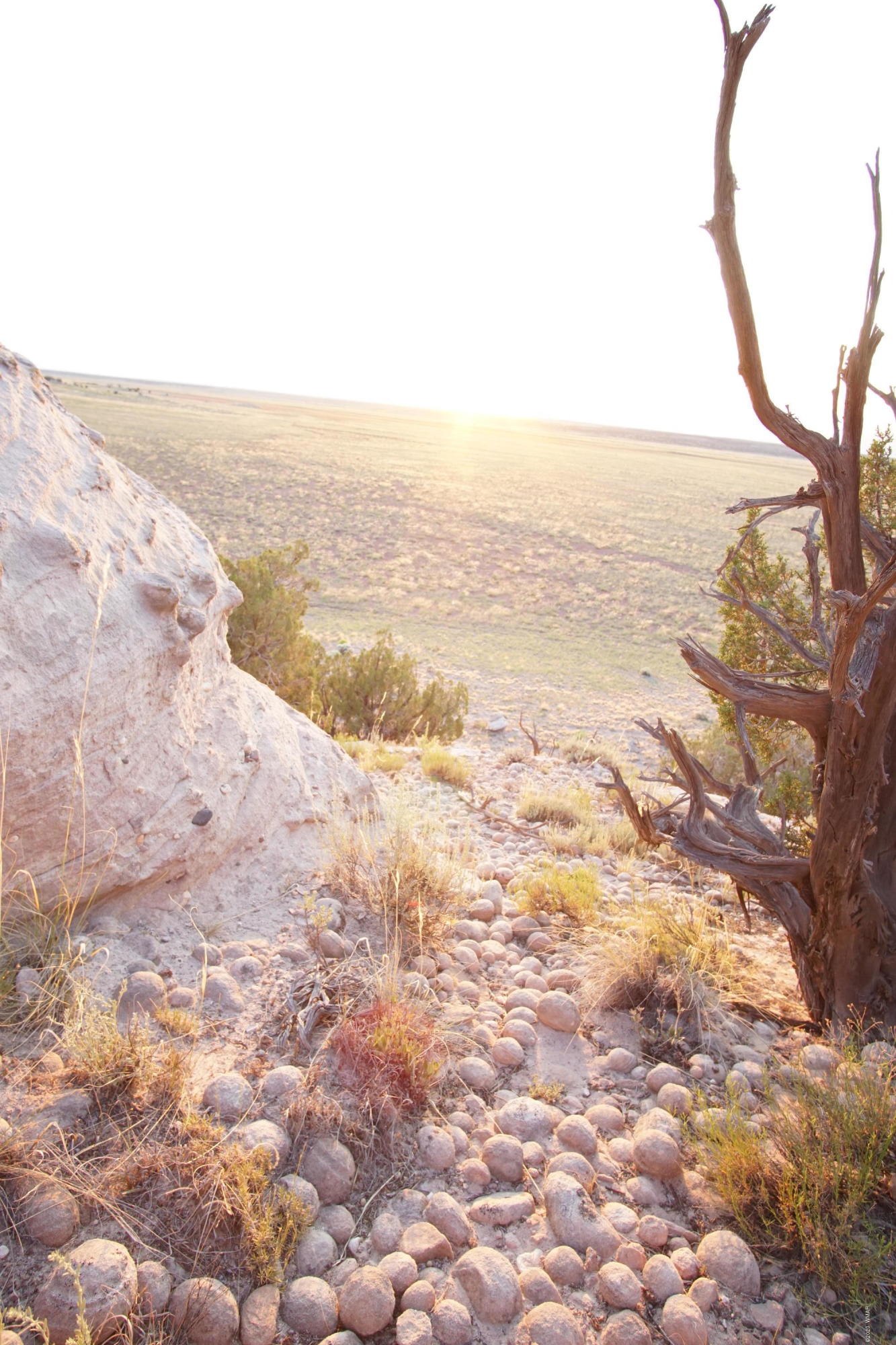 Lot 79 Bonito Valley Ranch Concho, AZ 85924 - Photo 63 of 84