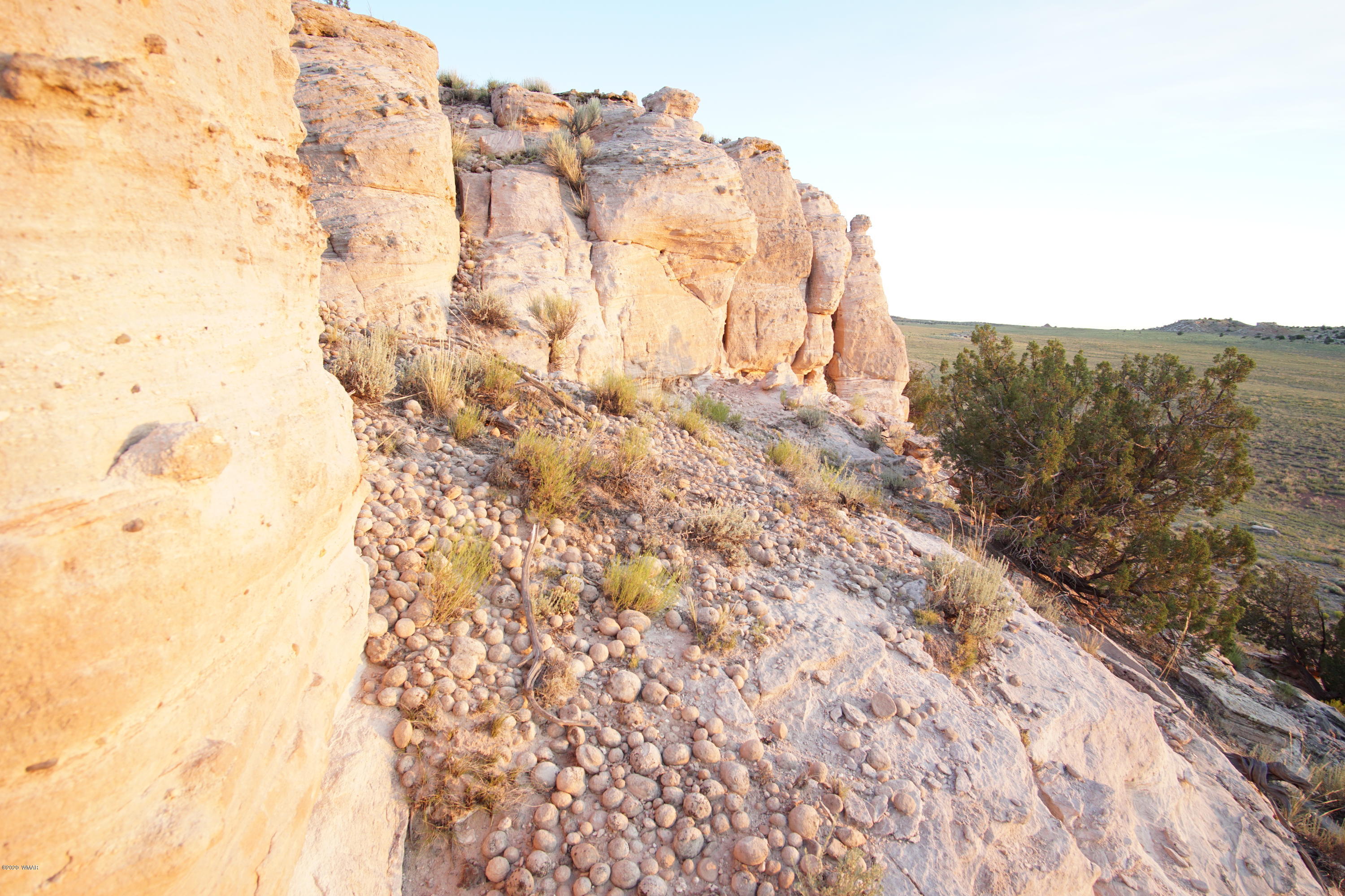 Lot 79 Bonito Valley Ranch Concho, AZ 85924 - Photo 65 of 84