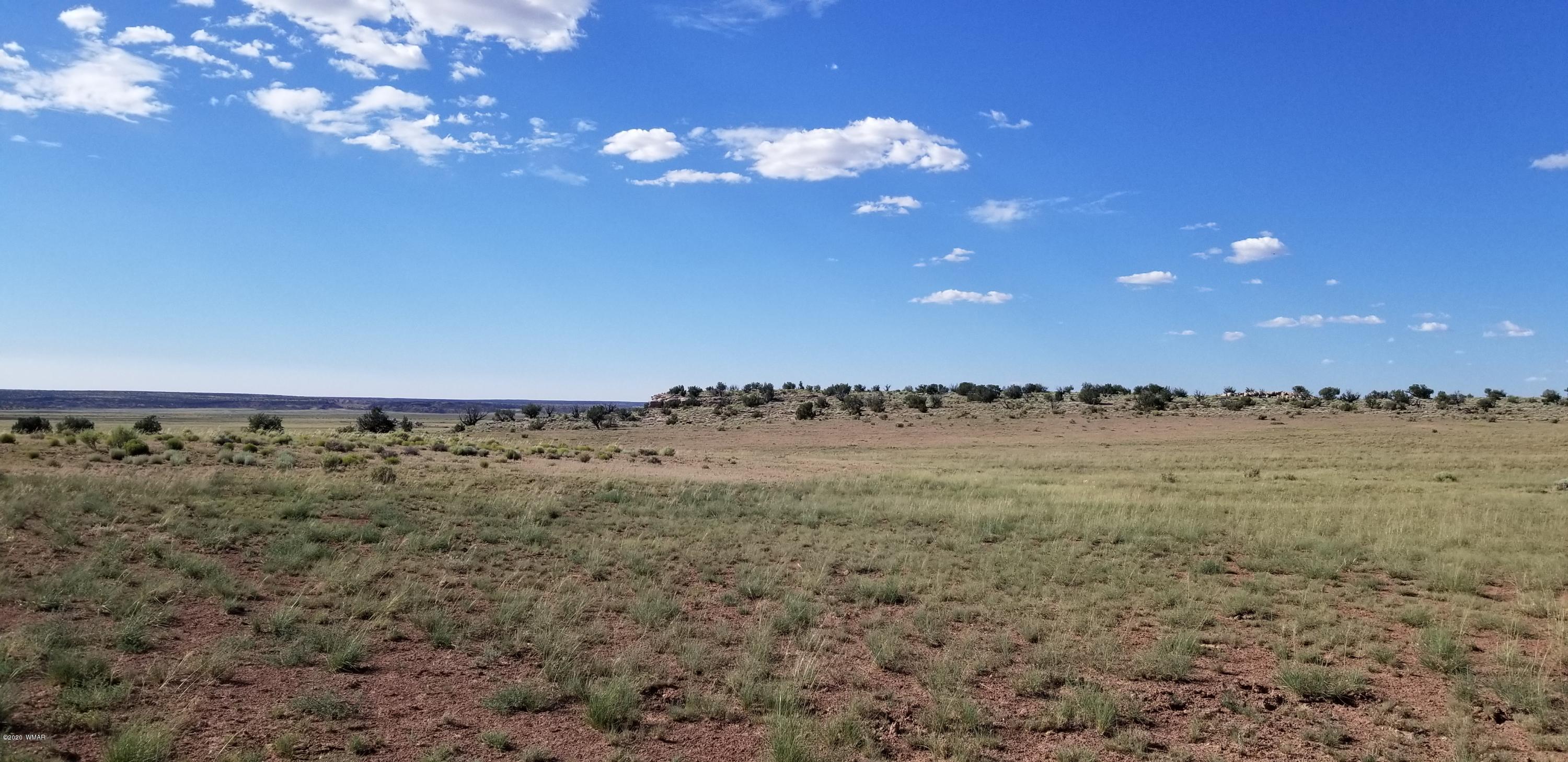 Lot 79 Bonito Valley Ranch Concho, AZ 85924 - Photo 10 of 84