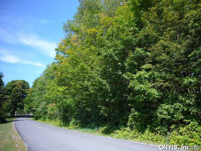 3 Peckham Road Lowville, NY 13367 - Photo 1 of 1 Land
