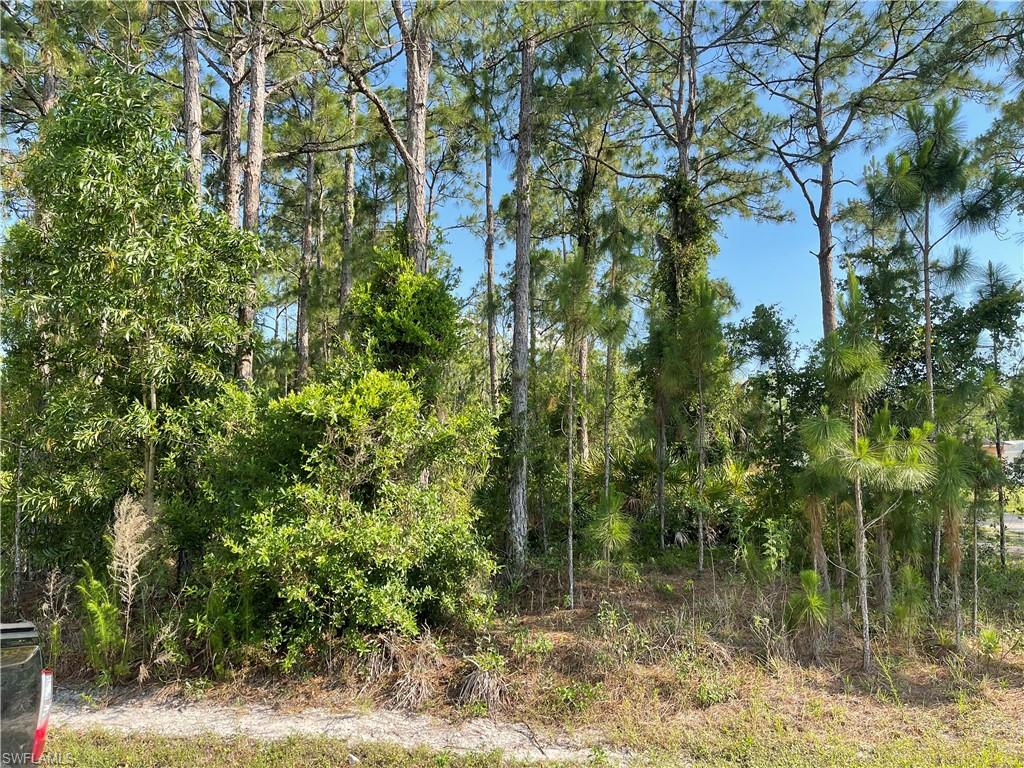 0 29th Avenue Naples, FL 34120 - Photo 3 of 9