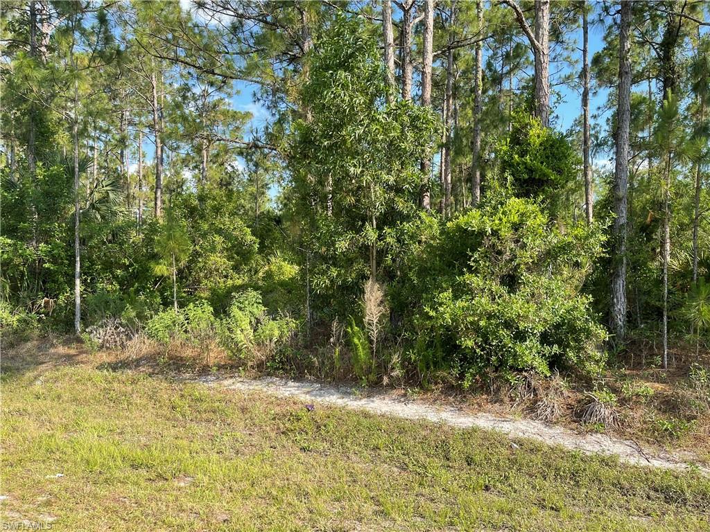 0 29th Avenue Naples, FL 34120 - Photo 4 of 9