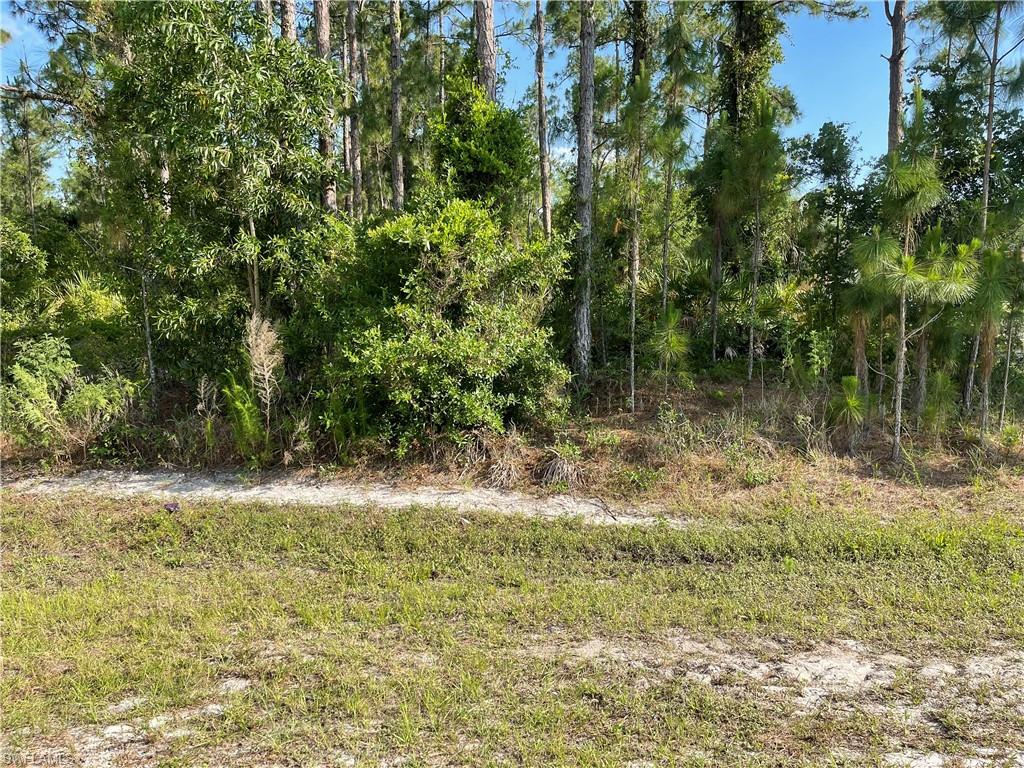 0 29th Avenue Naples, FL 34120 - Photo 5 of 9