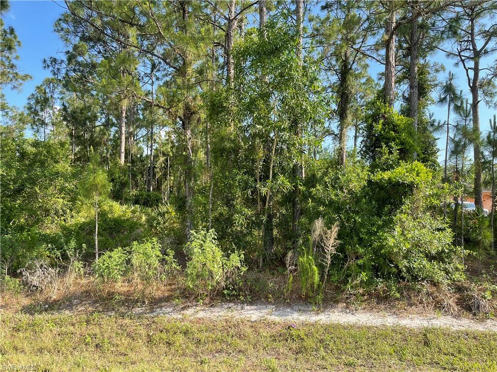 0 29th Avenue Naples, FL 34120 - Photo 6 of 9