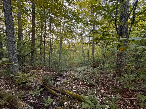 $135,000 | Sugarwood Lane, Littleton, NH 03561