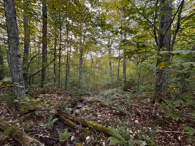 $135,000 | Sugarwood Lane, Littleton, NH 03561