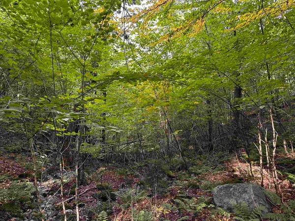 $135,000 | Sugarwood Lane, Littleton, NH 03561