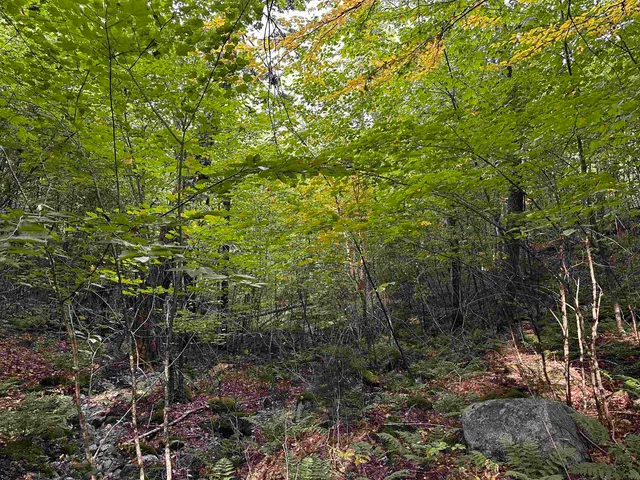 $135,000 | Sugarwood Lane, Littleton, NH 03561