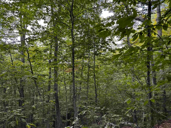 $135,000 | Sugarwood Lane, Littleton, NH 03561