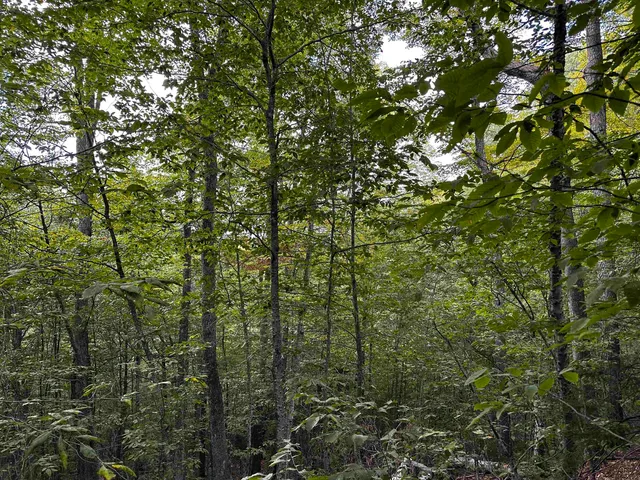 $135,000 | Sugarwood Lane, Littleton, NH 03561