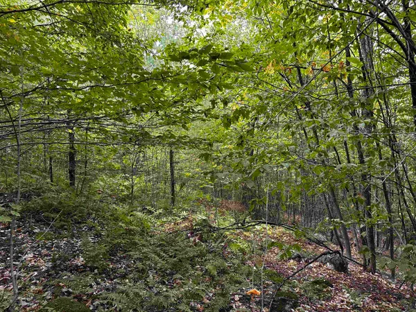 $135,000 | Sugarwood Lane, Littleton, NH 03561