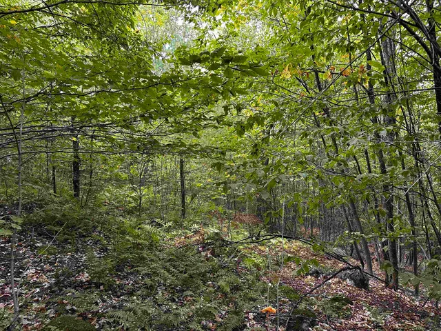 $135,000 | Sugarwood Lane, Littleton, NH 03561