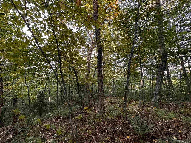 $135,000 | Sugarwood Lane, Littleton, NH 03561