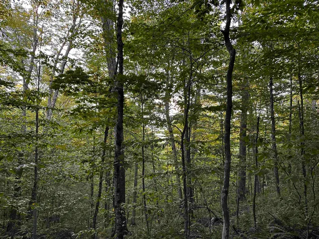 $135,000 | Sugarwood Lane, Littleton, NH 03561