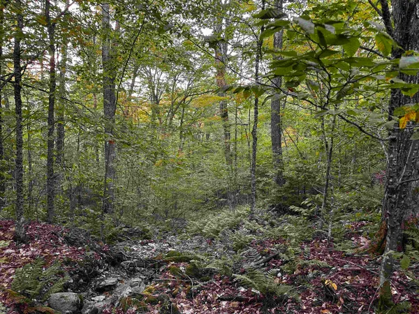 $135,000 | Sugarwood Lane, Littleton, NH 03561