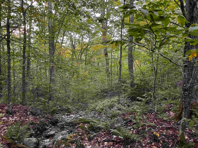 $135,000 | Sugarwood Lane, Littleton, NH 03561