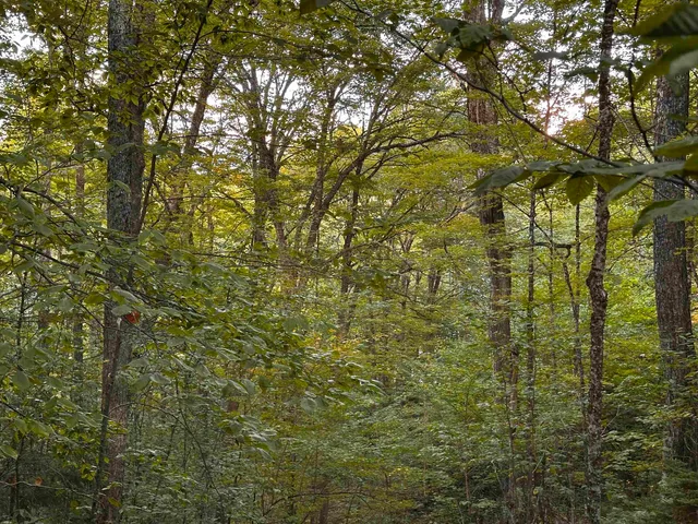 $135,000 | Sugarwood Lane, Littleton, NH 03561