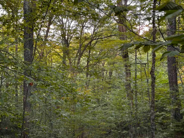 $135,000 | Sugarwood Lane, Littleton, NH 03561