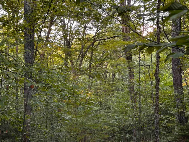 $135,000 | Sugarwood Lane, Littleton, NH 03561