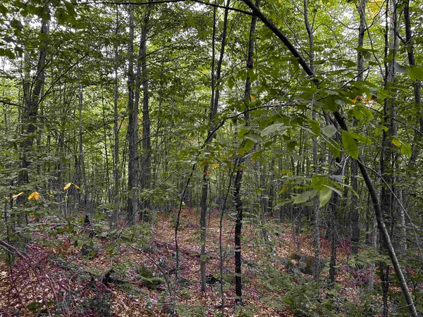 $135,000 | Sugarwood Lane, Littleton, NH 03561