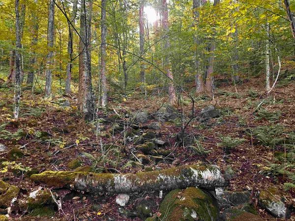 $135,000 | Sugarwood Lane, Littleton, NH 03561