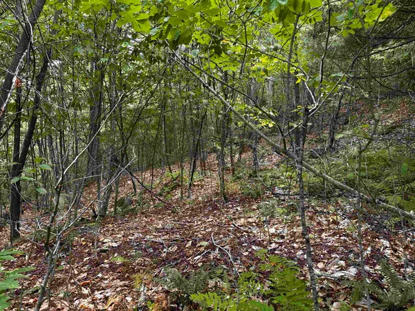 $135,000 | Sugarwood Lane, Littleton, NH 03561