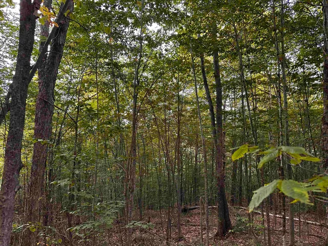 $135,000 | Sugarwood Lane, Littleton, NH 03561