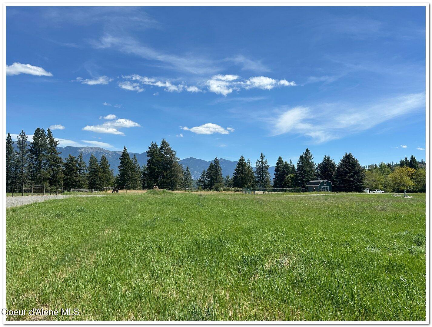 Lot 4 East Mountain View Road Moyie Springs, ID 83845 - Photo 4 of 32 IMG_7793